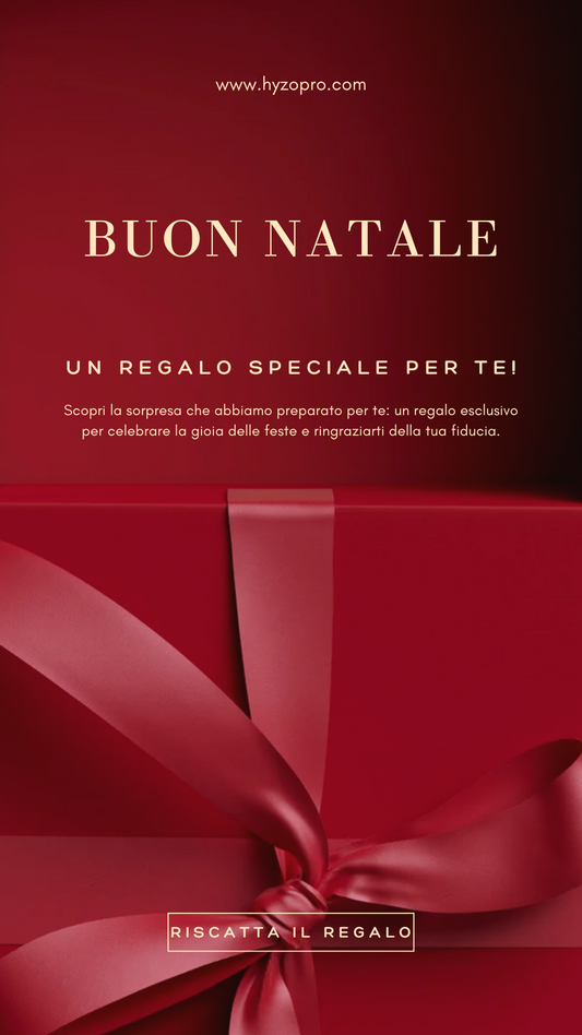 Buon Natale da Hyzo: Un Regalo Speciale per Te!