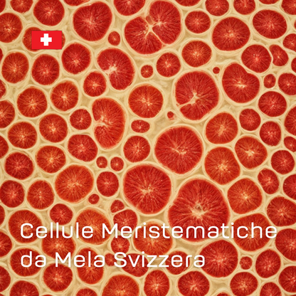 Cellule Meristematiche Mela Svizzera Contorno Occhi - Hyzo